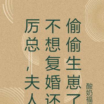 厉总，夫人不想复婚还偷偷生崽了